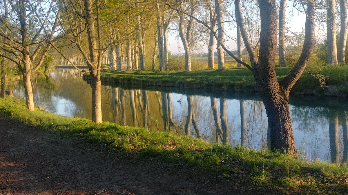 Le canal du Midi pendant le confinement.