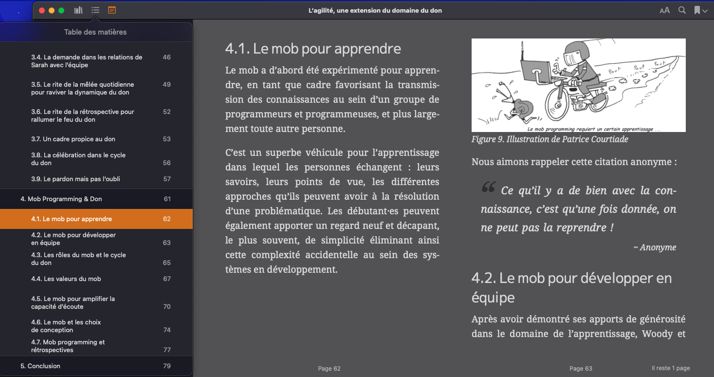 L'expérience de lecture du don au format epub