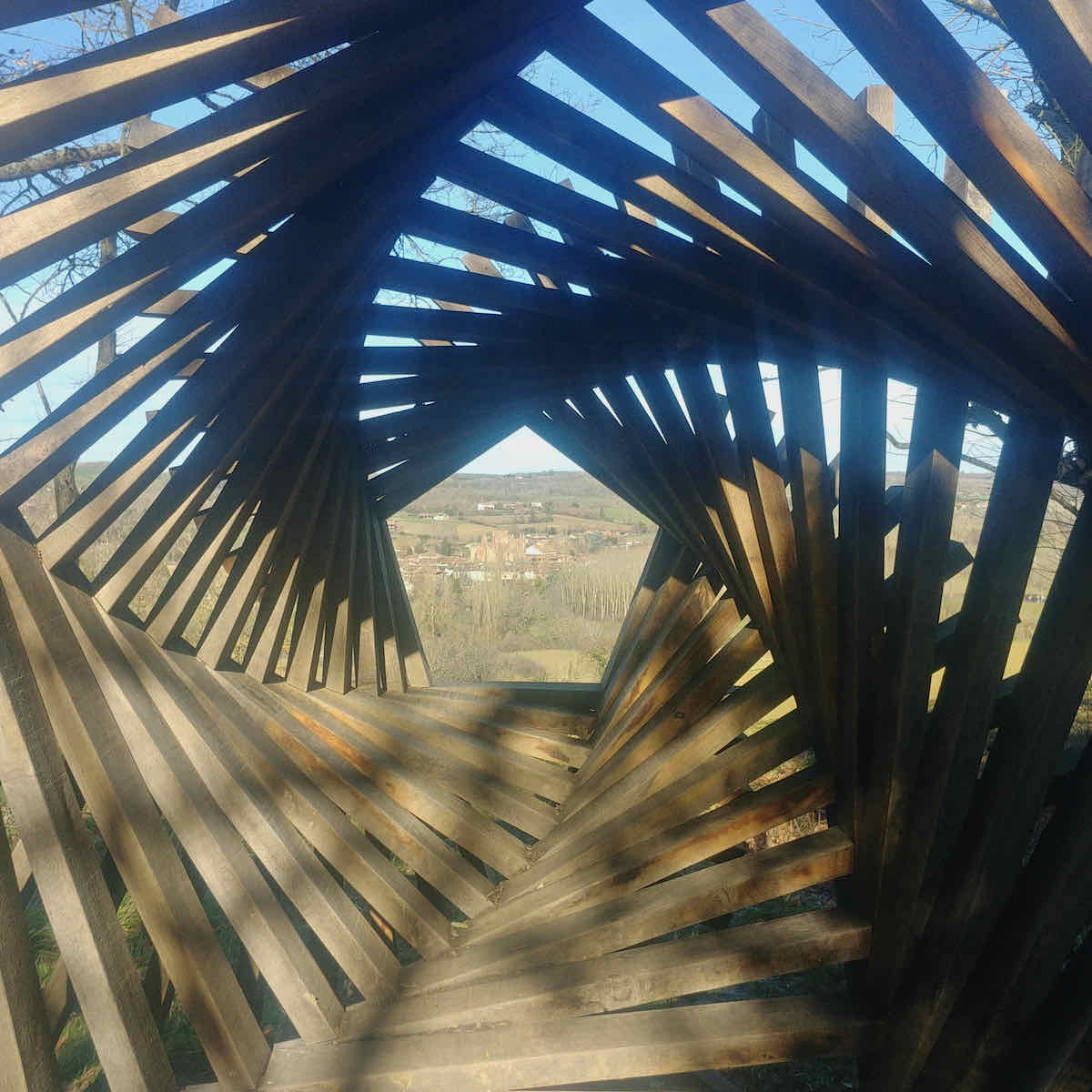 L'oeil du cochon dans lequel on voit Simorre